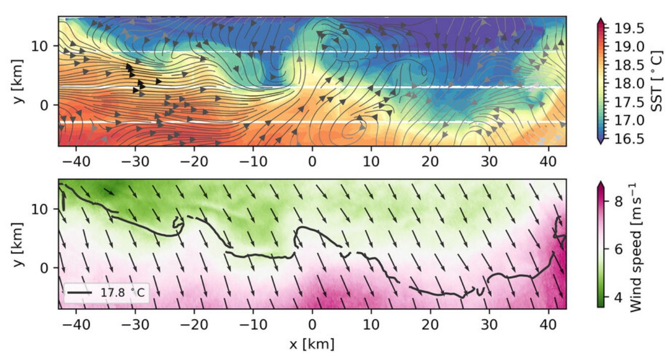 Submesoscale Dynamics